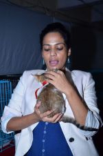 Priyanka Bose at Pet Adoption camp in Khar, Mumbai on 23rd Nov 2013